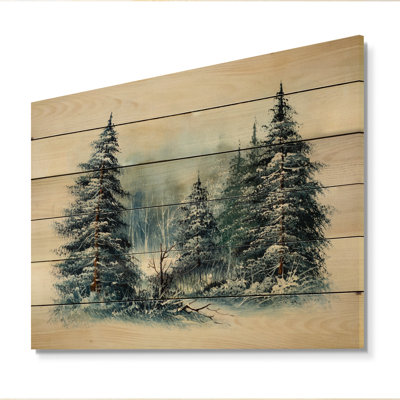 " Winter Lands With Evergreen Tree "