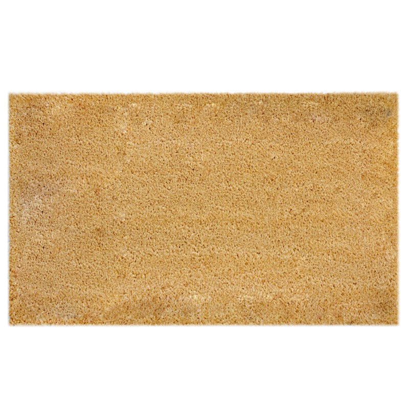 Abeyta Non-Slip Outdoor Doormat, 18" W x 30" L