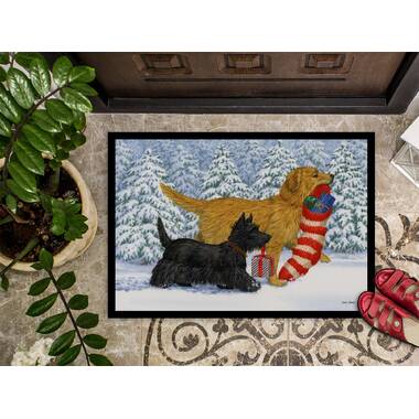 Rolen Winter Fir Coir 28 in. x 17 in. Outdoor Door Mat Millwood Pines