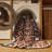 Machine Washable Persian Brown Area Rug-1780996534