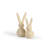 Paper Mache Bunny