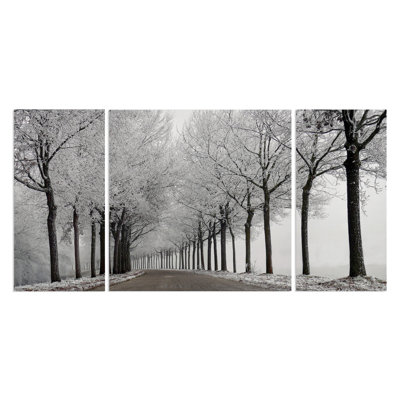 " Winter Curve " 3 - Pieces