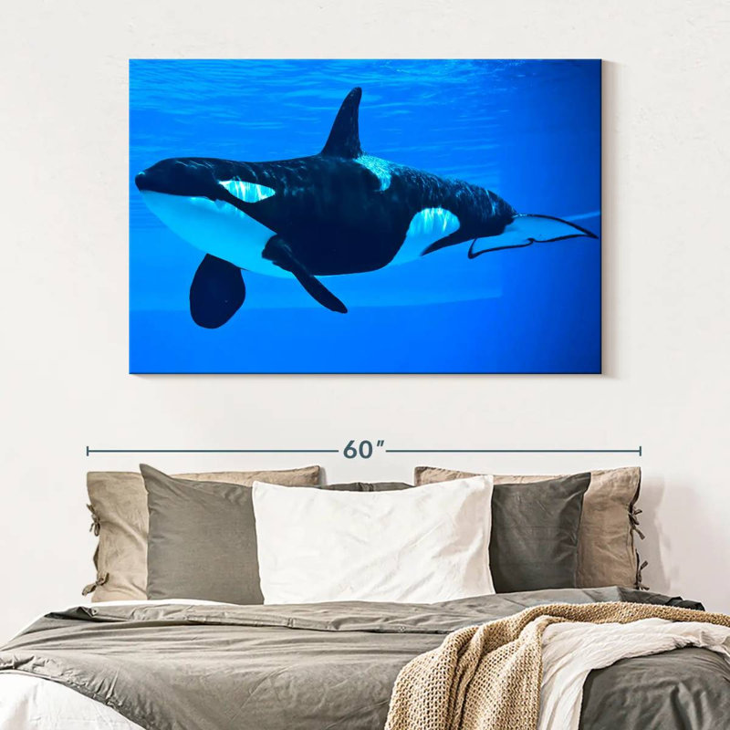 Brampt Friendly Killer Whale, 34" H x 51" W