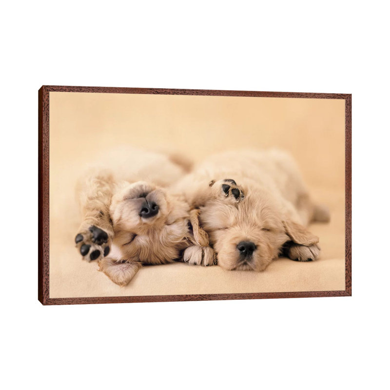 Jay And Connie by Rachael Hale - Print on Canvas, 101.6 cm H x 66.04 cm W, Classic Brown Wood Framed
