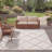 Capra Performance Geometric Indoor/Outdoor Area Rug-1940681784