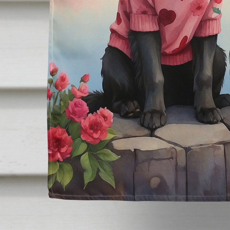 Double Sided 40'' H x 28'' W Polyester Valentine's Day House Flag