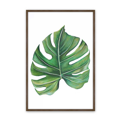 Étude Monstera Émeraude par Dollybirds, estampe