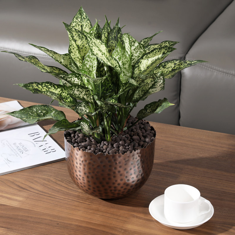 Handmade Metal Pot Planter