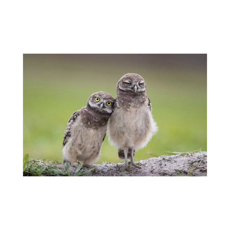 Friends 1 Piece Wrapped Canvas Wall Art, 20.32 cm H x 30.48 cm W