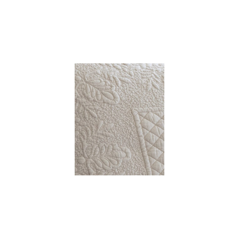 Abigail 100% Cotton Sham, Euro, Cream