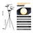 Jissel 63" Modern Black Dimmable LED Tripod Floor Lamp