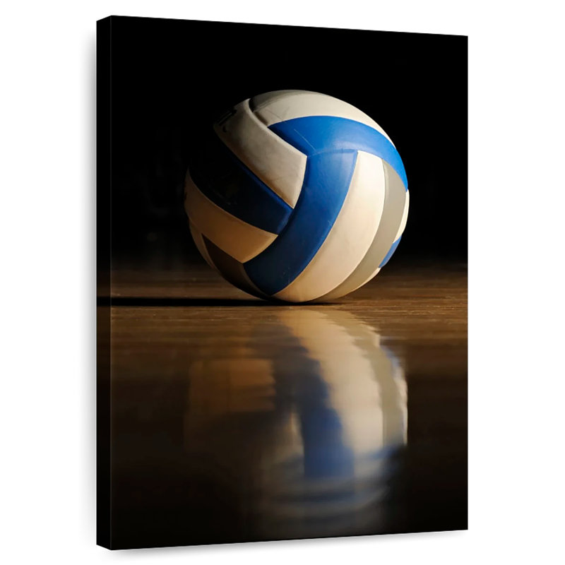 Terrain de volleyball, H 24 po x l 16 po