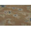 Tapis floral All-Over 10 x 13