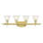 Christiansburg 4 - Light Dimmable Vanity Light-22508590
