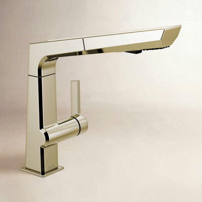 Pivotal Pull-Out Kitchen Faucet