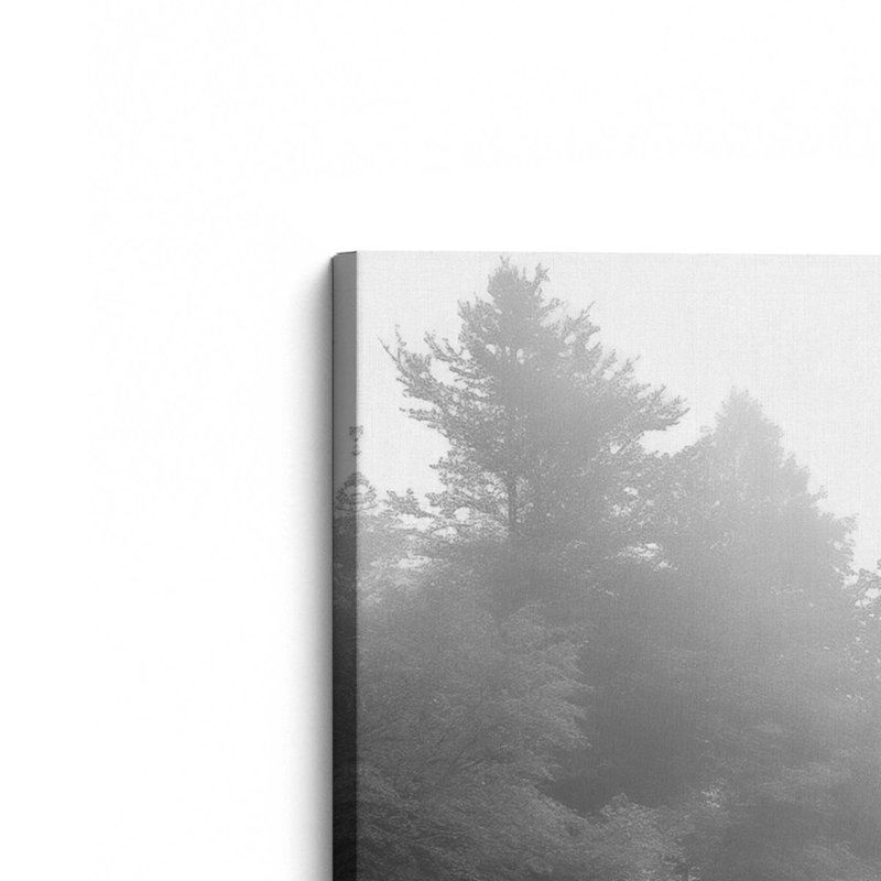 Misty Enigma Wrapped Canvas Print, Wrapped Canvas, 1, 54" H x 54" W x 1.25" D