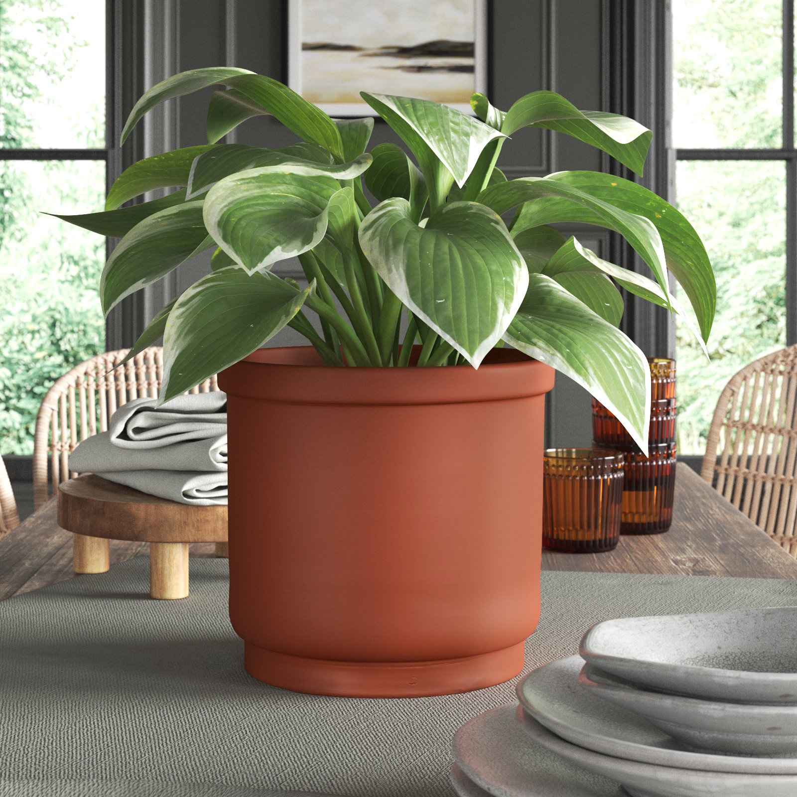 Privet Terracotta Pot Planter, 9.05" H x 11" W x 11" D