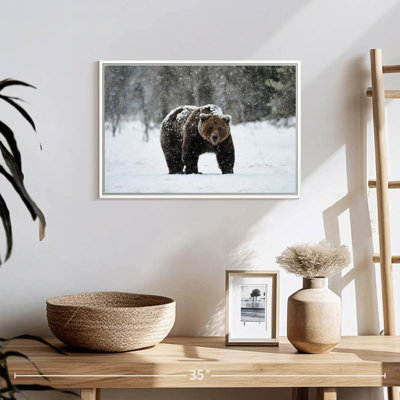 Ours grizzly d'hiver