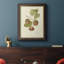 Persimmon II - cadre photo, impression sur toile-775207908