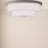 Flaire Flush Mount-2115083954-2013622768-2013622767