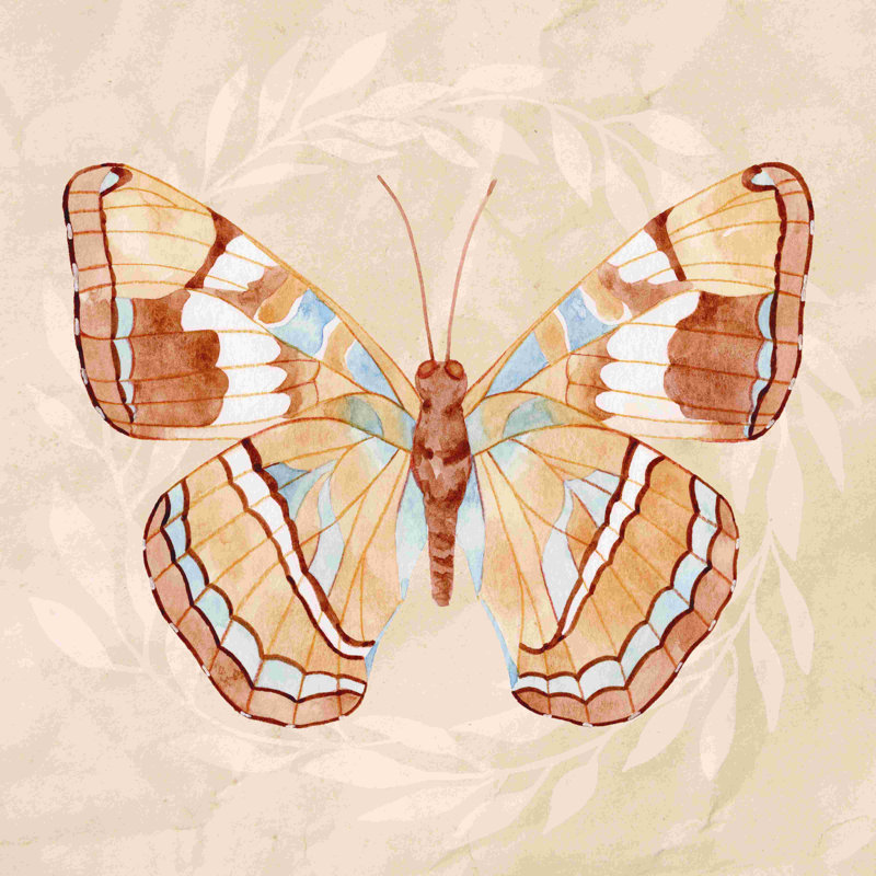 Boho papillon - peinture sur toile tendue, H 12 po x l 12 po