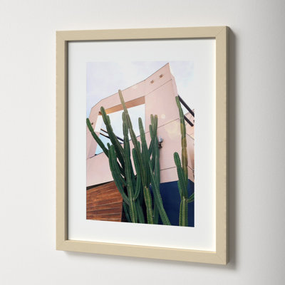 Abbot Kinney Blvd by Rachel Dowd