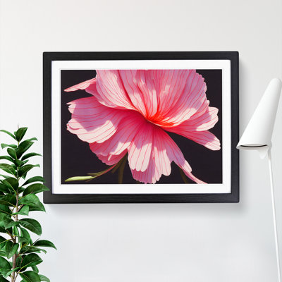 Splendorous Carnation Flower - Framed Print