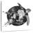 Brampt Cosmic Sea Turtle-109394918