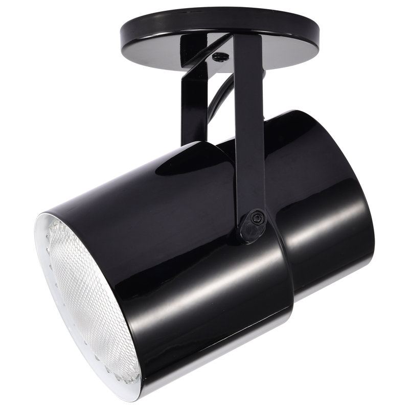 1 - Light Spotlight, Black/Steel