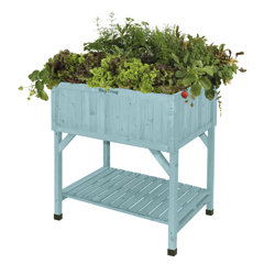 Wayfair  Extra Large Pot Planters You'll Love in 2024