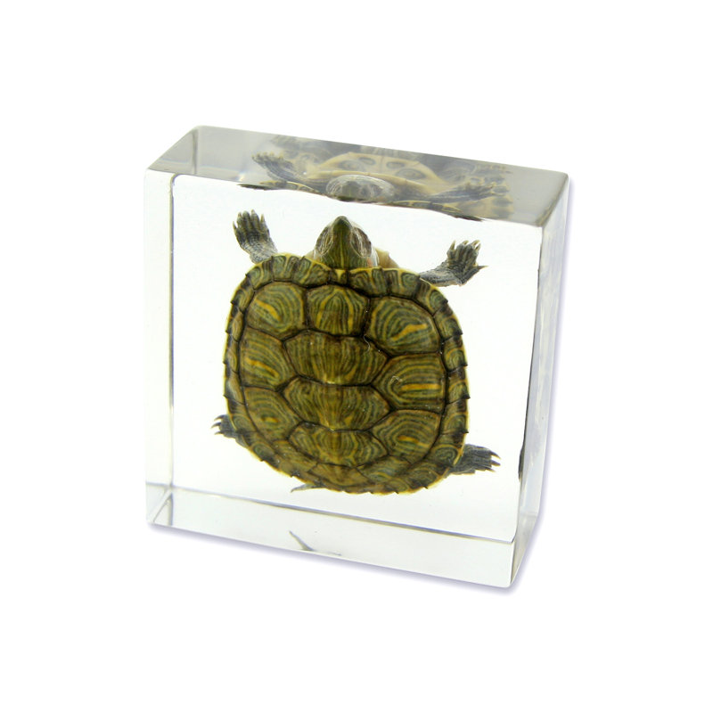 Presse-papiers tortue autaugaville