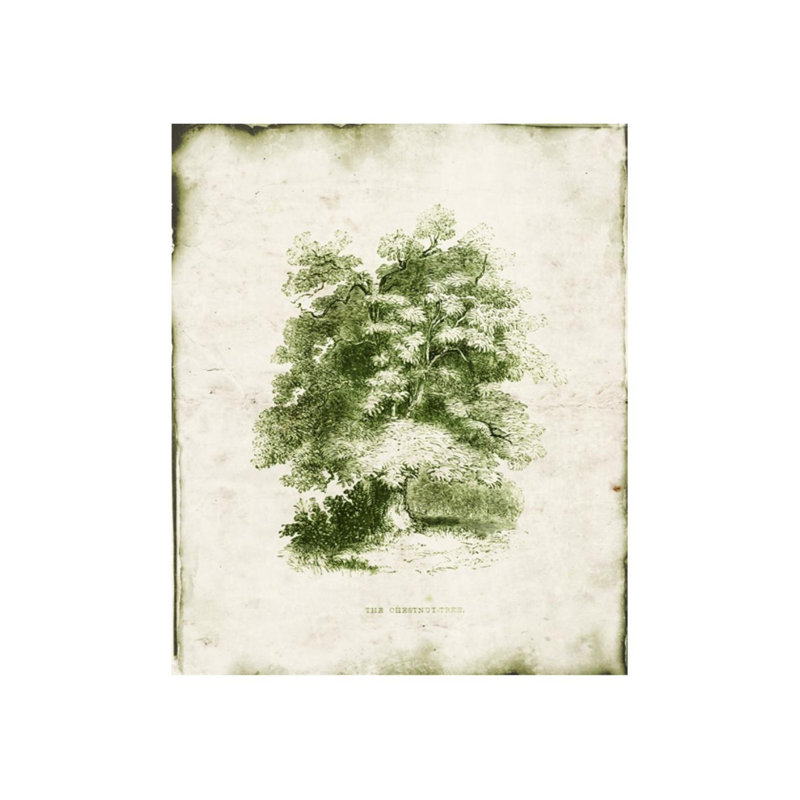 «Evergreen VI» par Zoey Riley - Peinture, H 29 po x l 24 po x P 1,5 po, Couche de verre