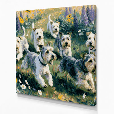 Dogs Cesky Terrier Gray Canvas Wall Art