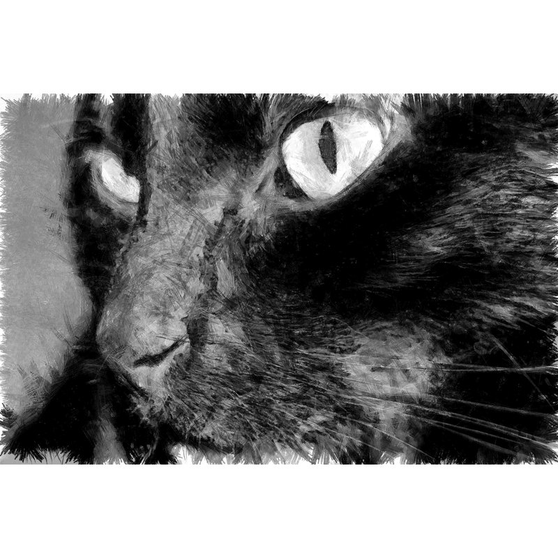 Crayon chat noir - photographie sur toile tendue, H 32 po x l 48 po