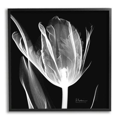 Fleur radiographique sur fond noir, photographie sur toile