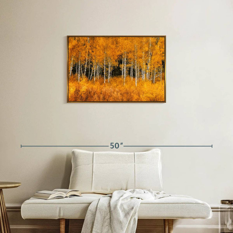 Grand Teton Aspen Trees, Cadre flottant doré, 31 po x 21 po