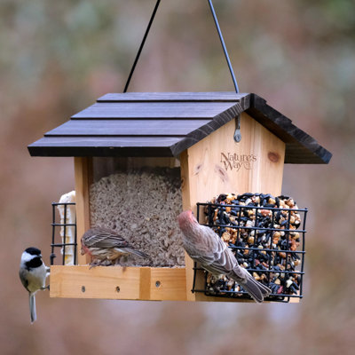 Cedar - 3QT Hopper bird feeder w/suet