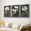 Dramatic White Flowers I - Toile tendue avec châssis sur mesure - 3 pièces-533483765-533483760
