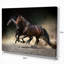 Animaux, chevaux, galop dans le désert, impression-29495977-35111693