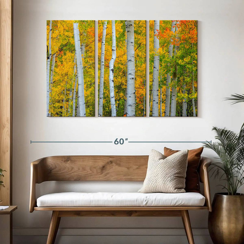 Arbres Telluride d'Alvord, H 32 po x l 50 po