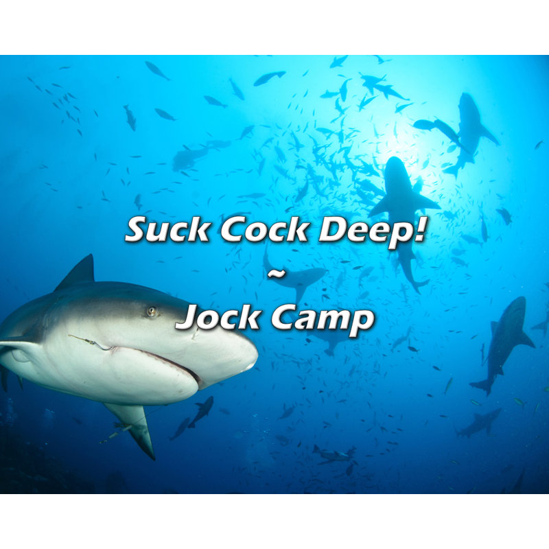 Citation artistique «Suck Cock Deep!» Toile tendue par Jock Camp, H 17 po x l 24 po