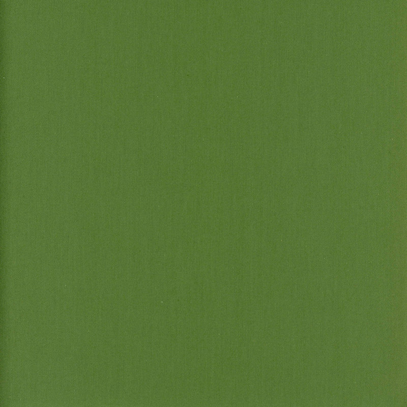Lucky 100% Cotton Fabric, Kelly
