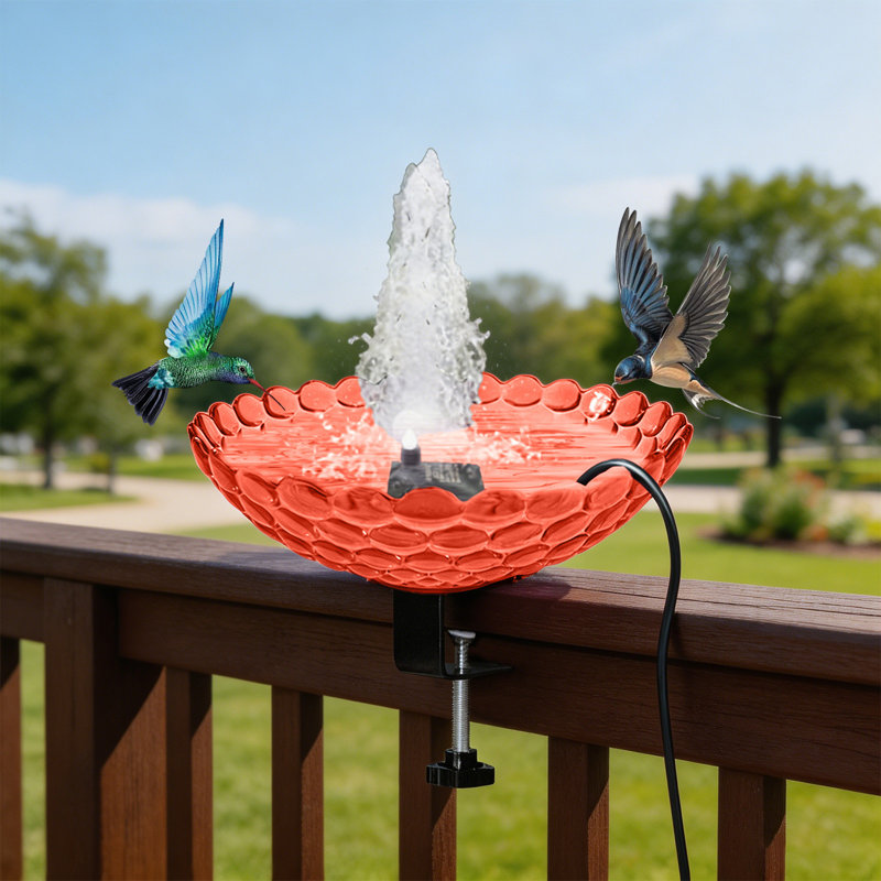Bain d'oiseaux à rampe solaire et bain à oiseaux, Rouge