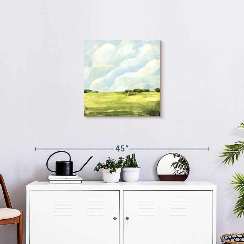 Alvord Open Fields I