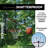 Lifetime Adjustable Height 52'' W Steel In-Ground Basketball Hoop with Breakaway Rim