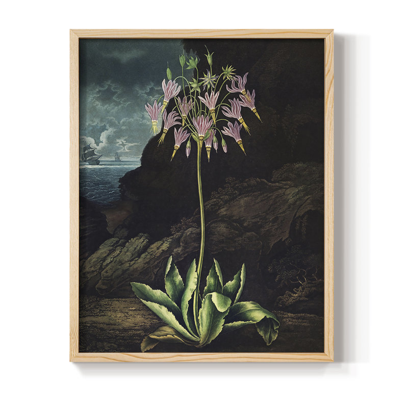 Temple of Flora II, reproduction encadrée - bois massif, H 11 po x l 9 po