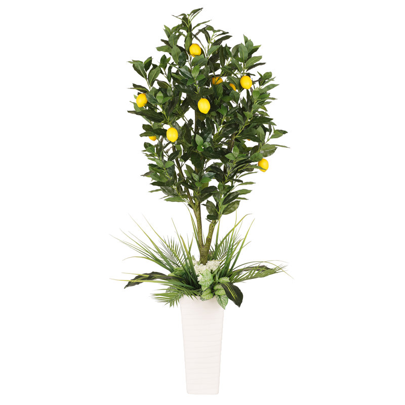 72'' Faux Lemon Plant in Ceramic Pot