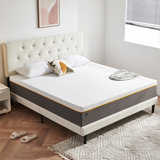 12" Gel Memory Foam Mattress Quiet Low Motion Medium Pressure Relief Boxed