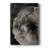 ABSTRACT Series CCXLVI -Custom Wrapped Gallery Cavas