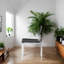 Chaise Niceve-122193649